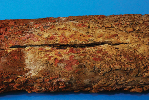 Creep Damage Figure 1