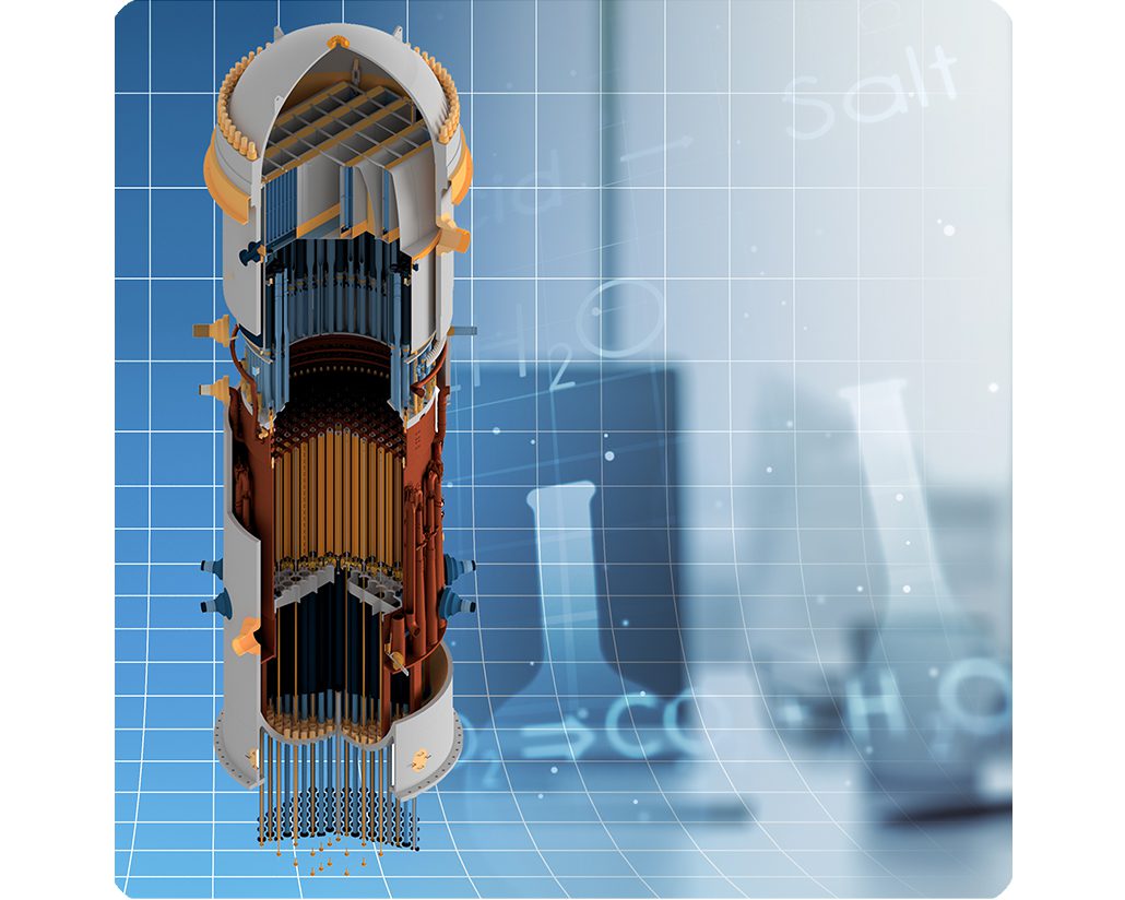 Structural Integrity | Chemistry & Materials | BWR Internals