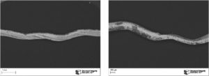 Figure 1. SEM images of the particle