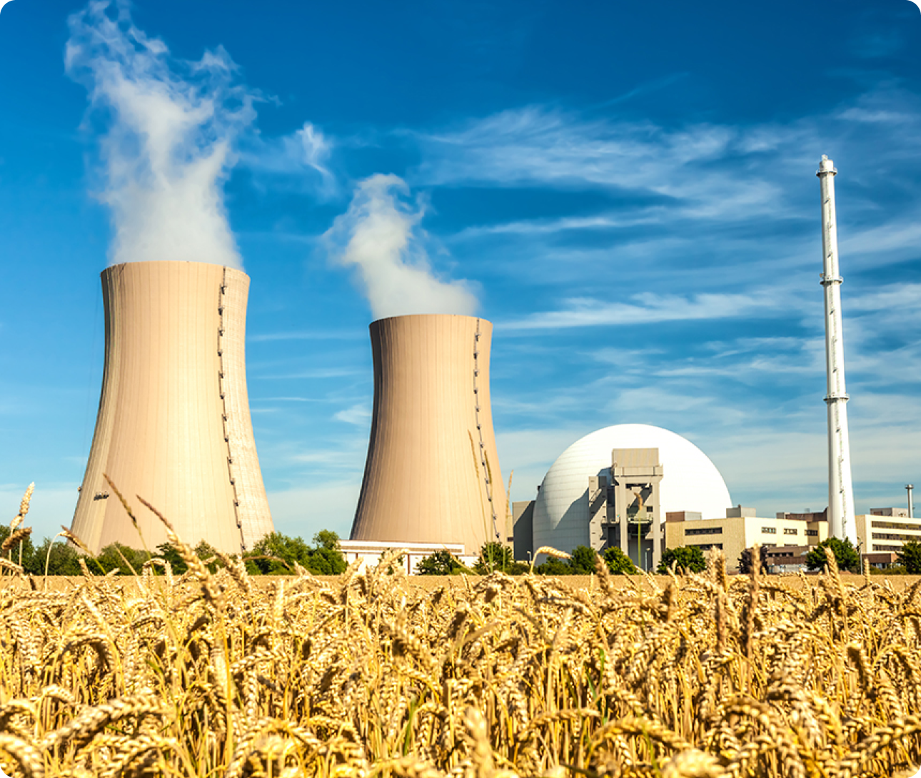 NUCLEAR POWER hero img