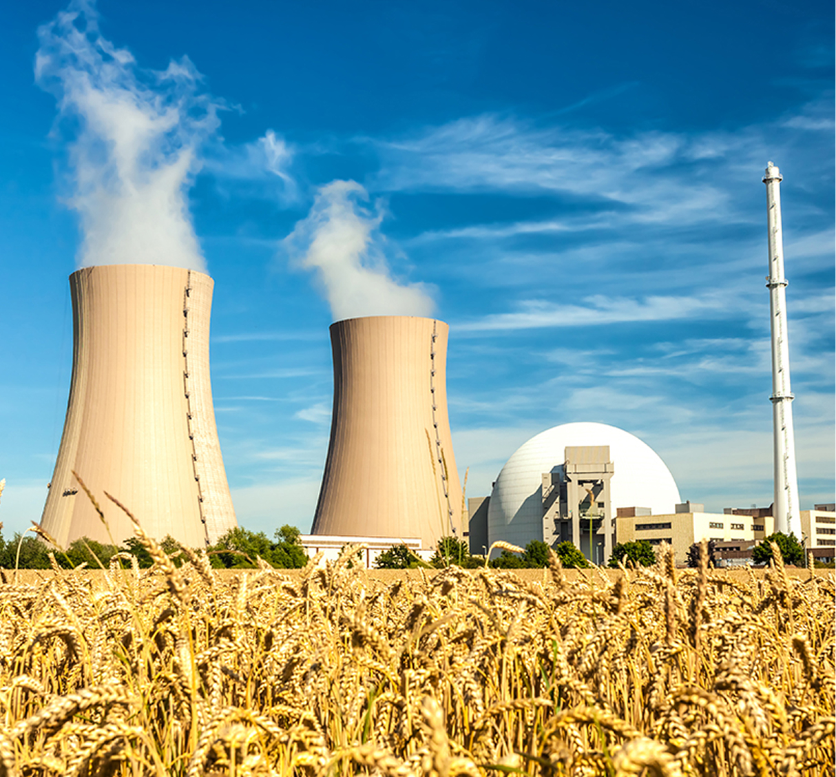 NUCLEAR POWER
