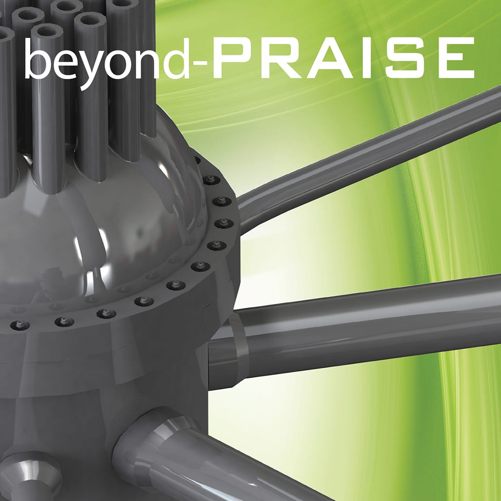beyond-PRAISE logo image